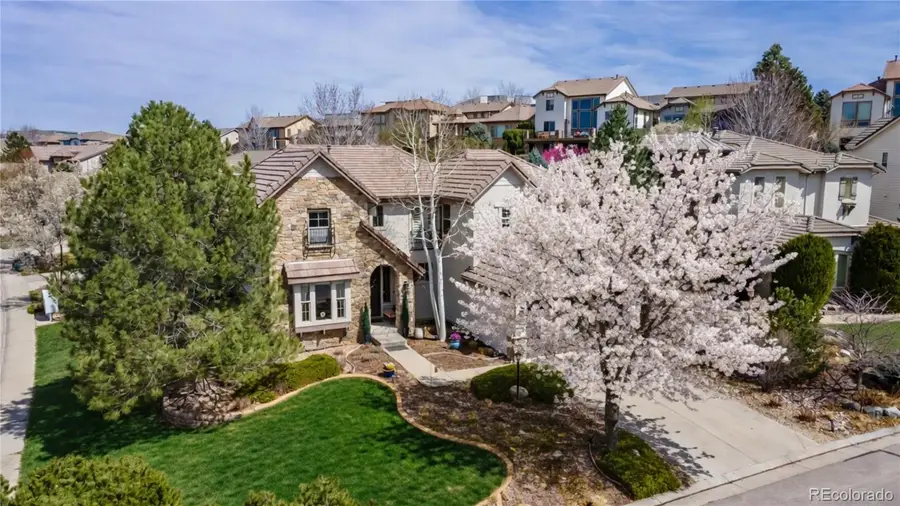 9691 Sunset Hill Place, Lone Tree, CO 80124 - #2
