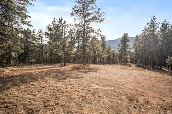 260 Bailey Drive, Bailey, CO 80421