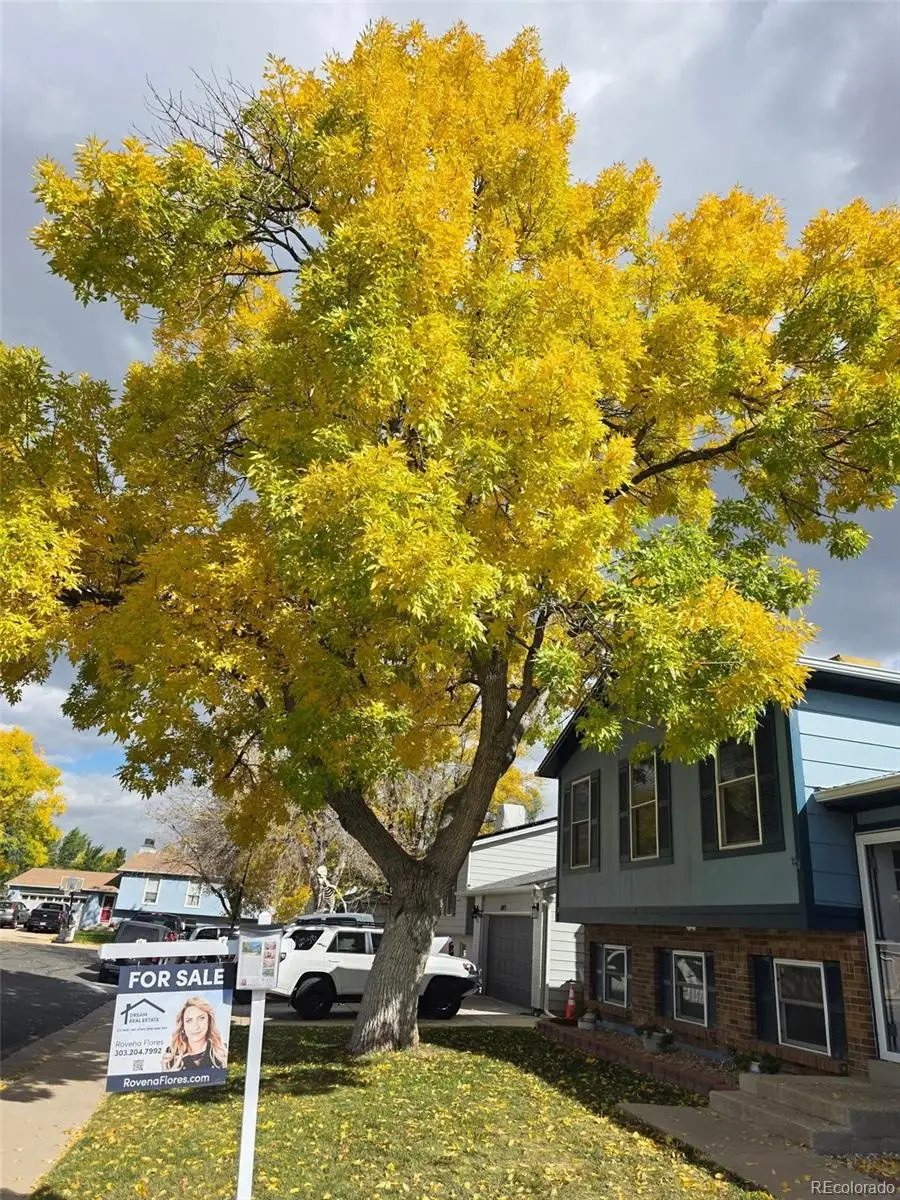 11062 Fairfax Circle, Thornton, CO 80233 - Image #2