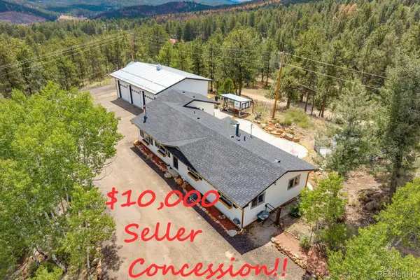 33758 Harmon Road, Pine, CO 80470
