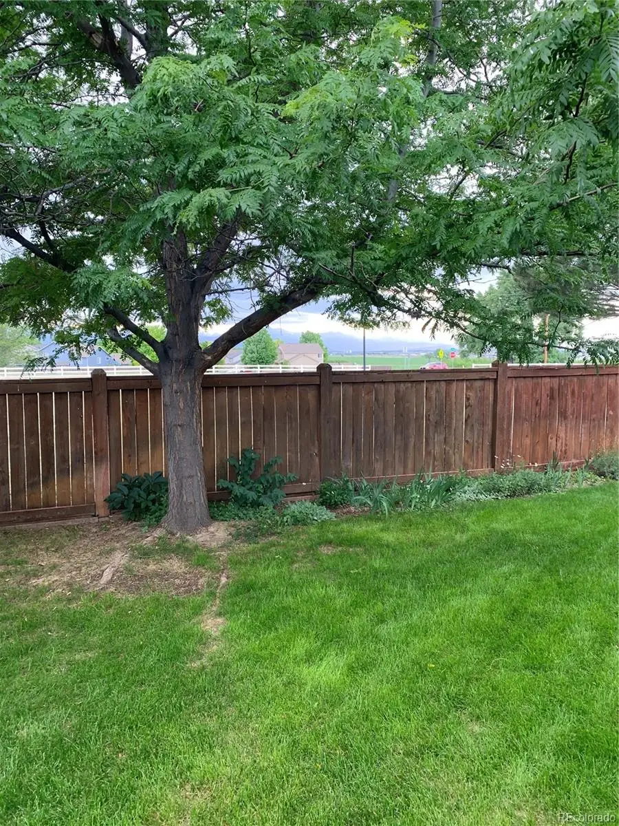 5211 Mt Audubon Street, Frederick, CO 80504 - #3