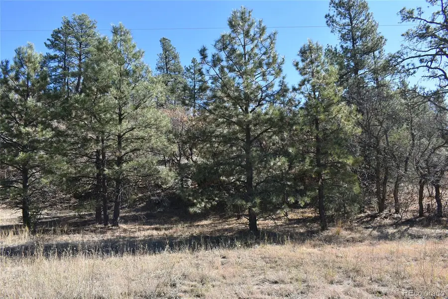 268-269 Rancho La Garita Filing No-8,, Weston, CO 81091 - Image #3