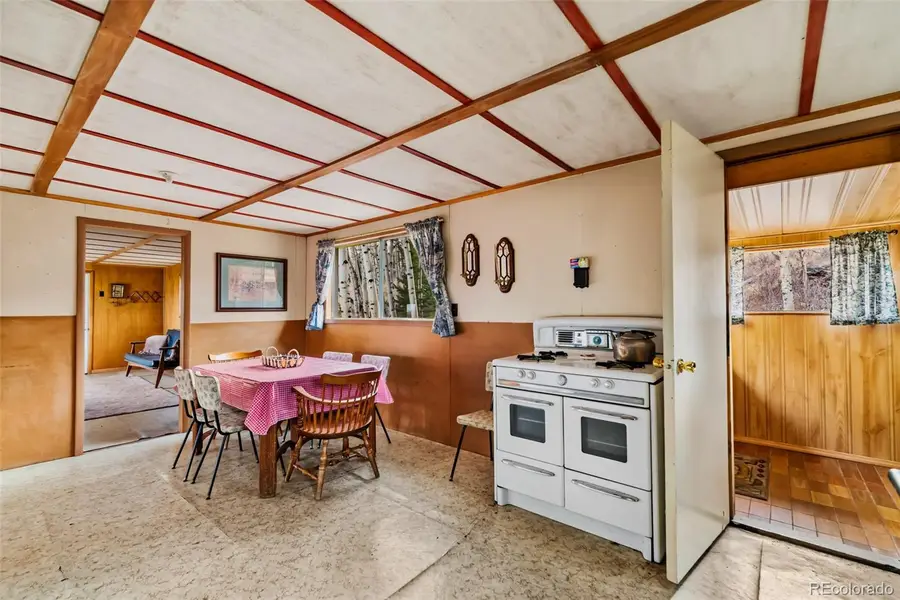 26 Meadow Drive, Fairplay, CO 80440 - #2