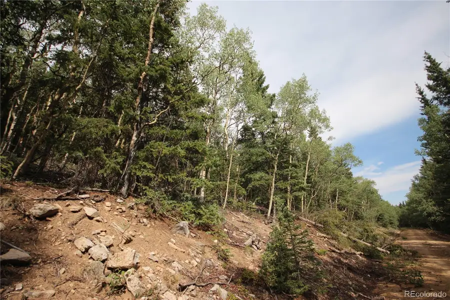 Lot 6573 Ackerman Road, San Luis, CO 81152 - #3
