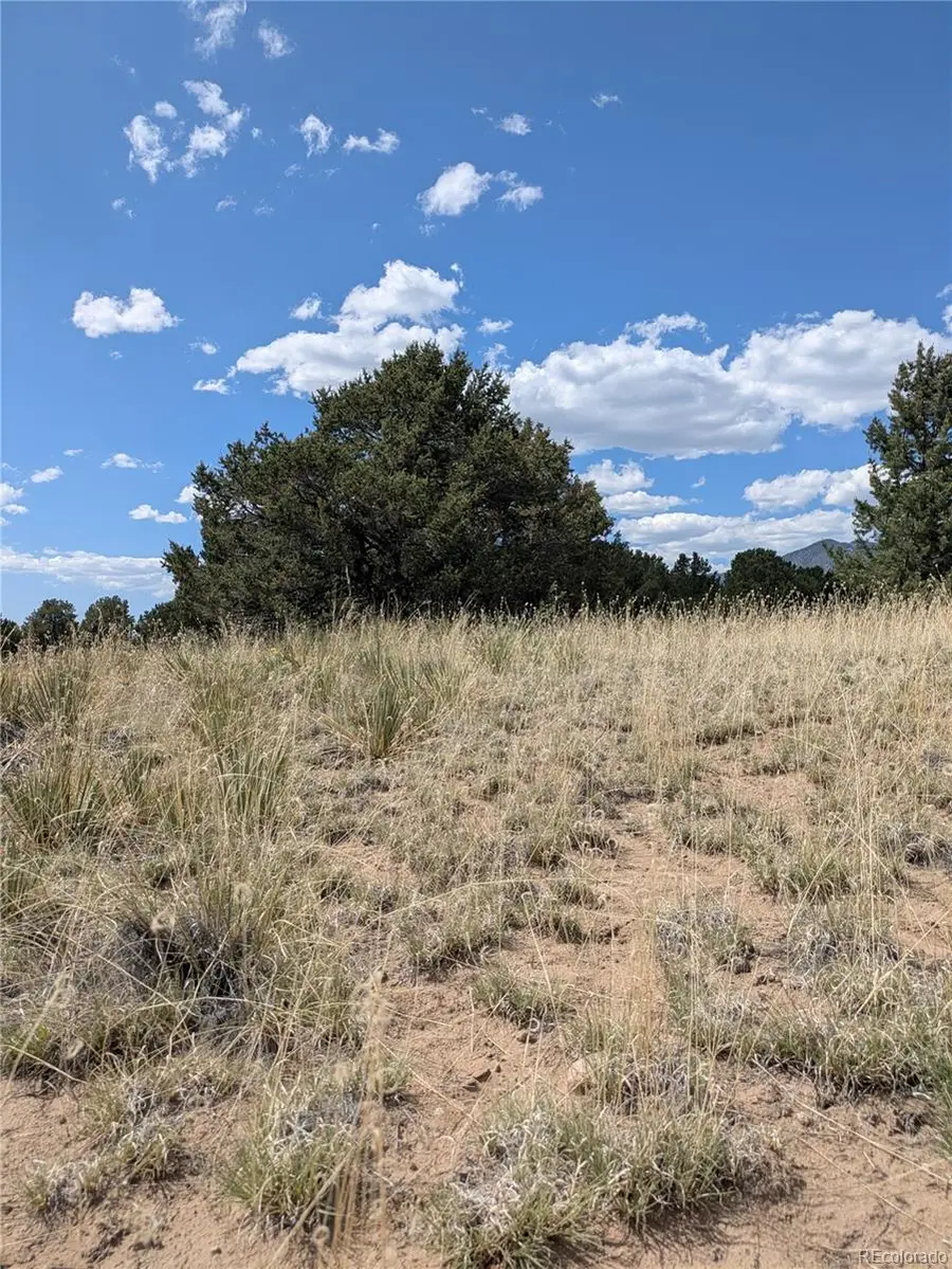 3213 Enchanted Court, Crestone, CO 81131 - #3