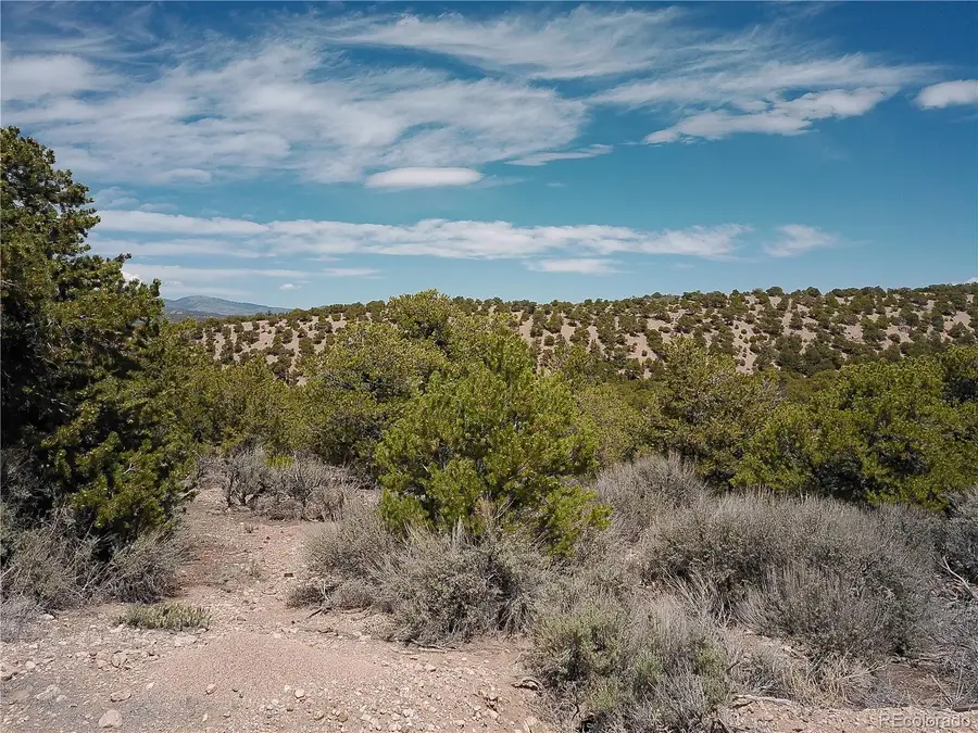 Andrus Road, Fort Garland, CO 81132 - #3