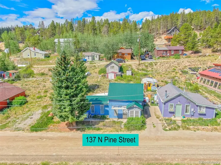 137 N Pine Street, Alma, CO 80420 - #2