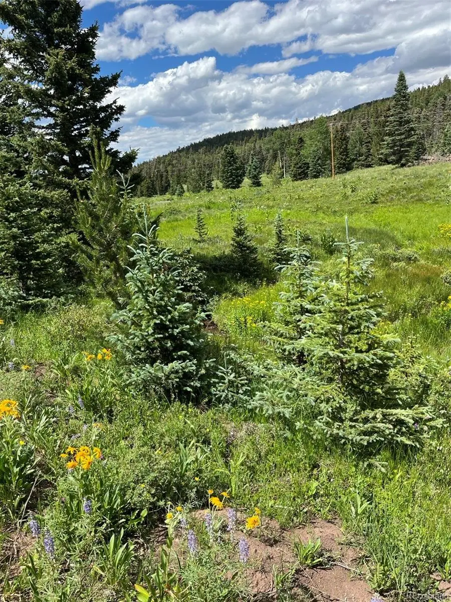 Lot 3091 Sterenson Place, Fort Garland, CO 81133 - #1