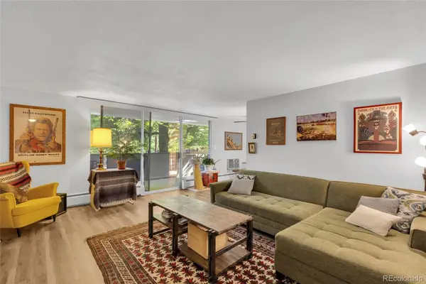 1085 N Lafayette Street #204, Denver, CO 80218