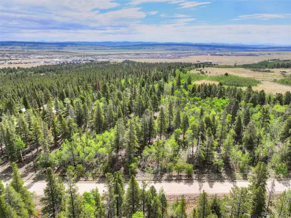 198 Green Bottle Circle, Fairplay, CO 80440