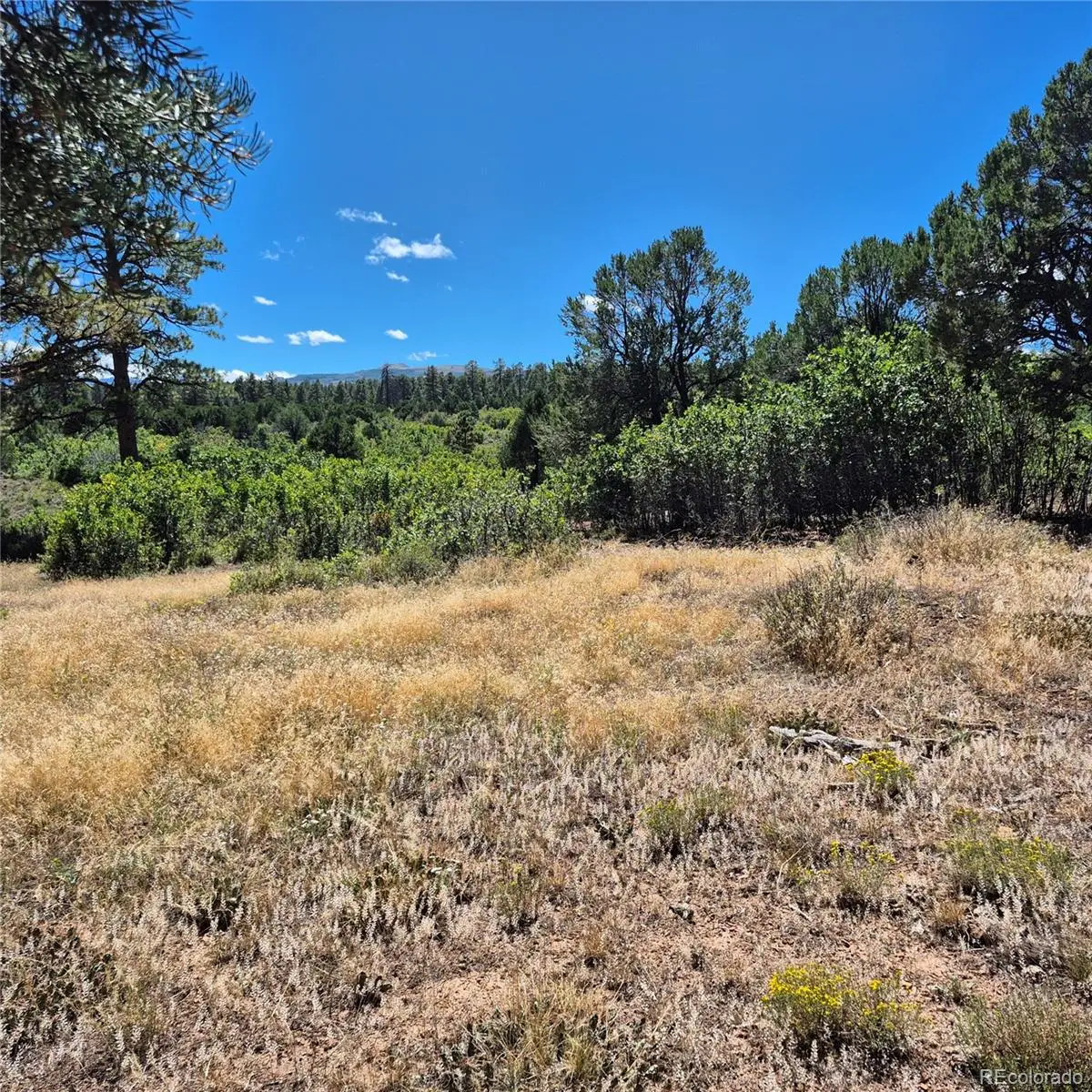 1620 Wildcat Canyon Road, Montrose, CO 81403 - #1