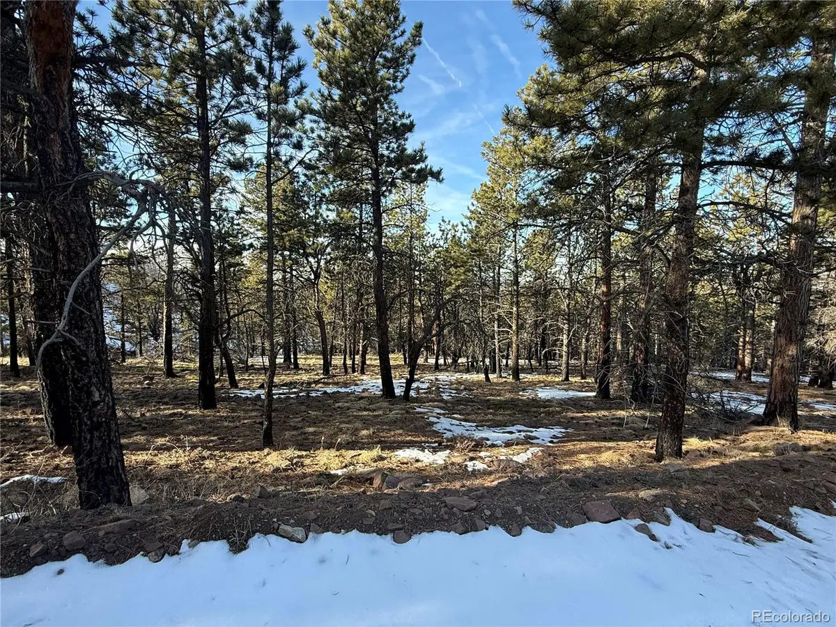 Lot 356 Spangle Drive, Fort Garland, CO 81133 - #1