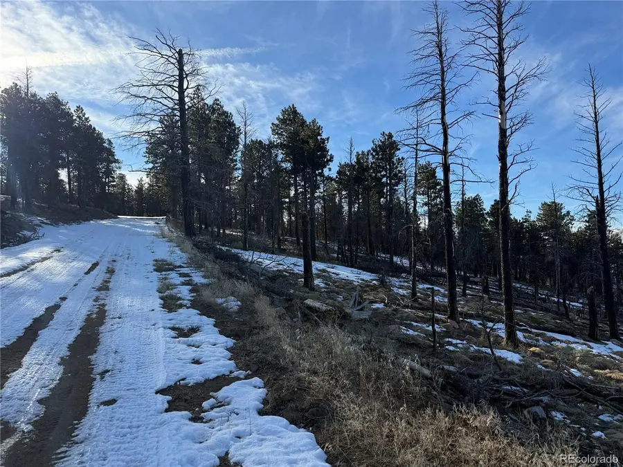 Lot 356 Spangle Drive, Fort Garland, CO 81133 - #2