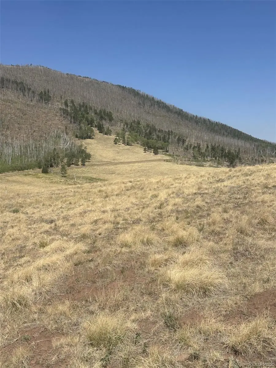 2343 Sigler Drive, Fort Garland, CO 81133 - #2