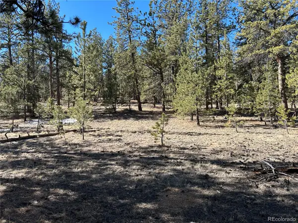 147 Haystack Road, Hartsel, CO 80449