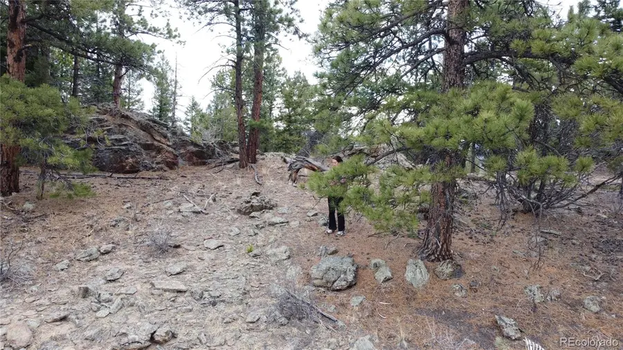 Delwood Drive, Bailey, CO 80421 - #2