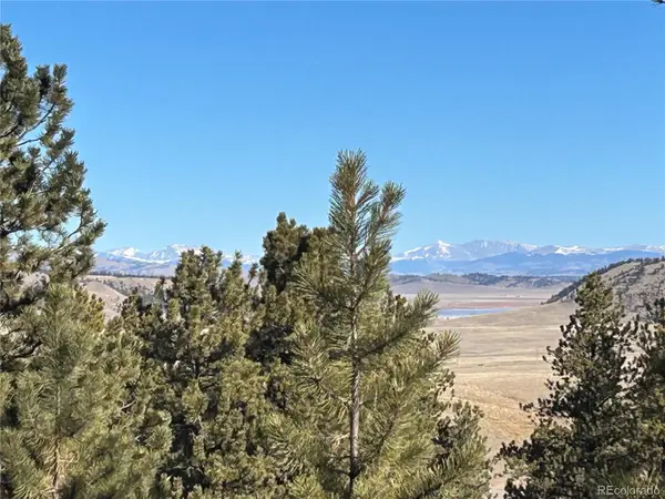 4376 Campfire Road, Hartsel, CO 80449