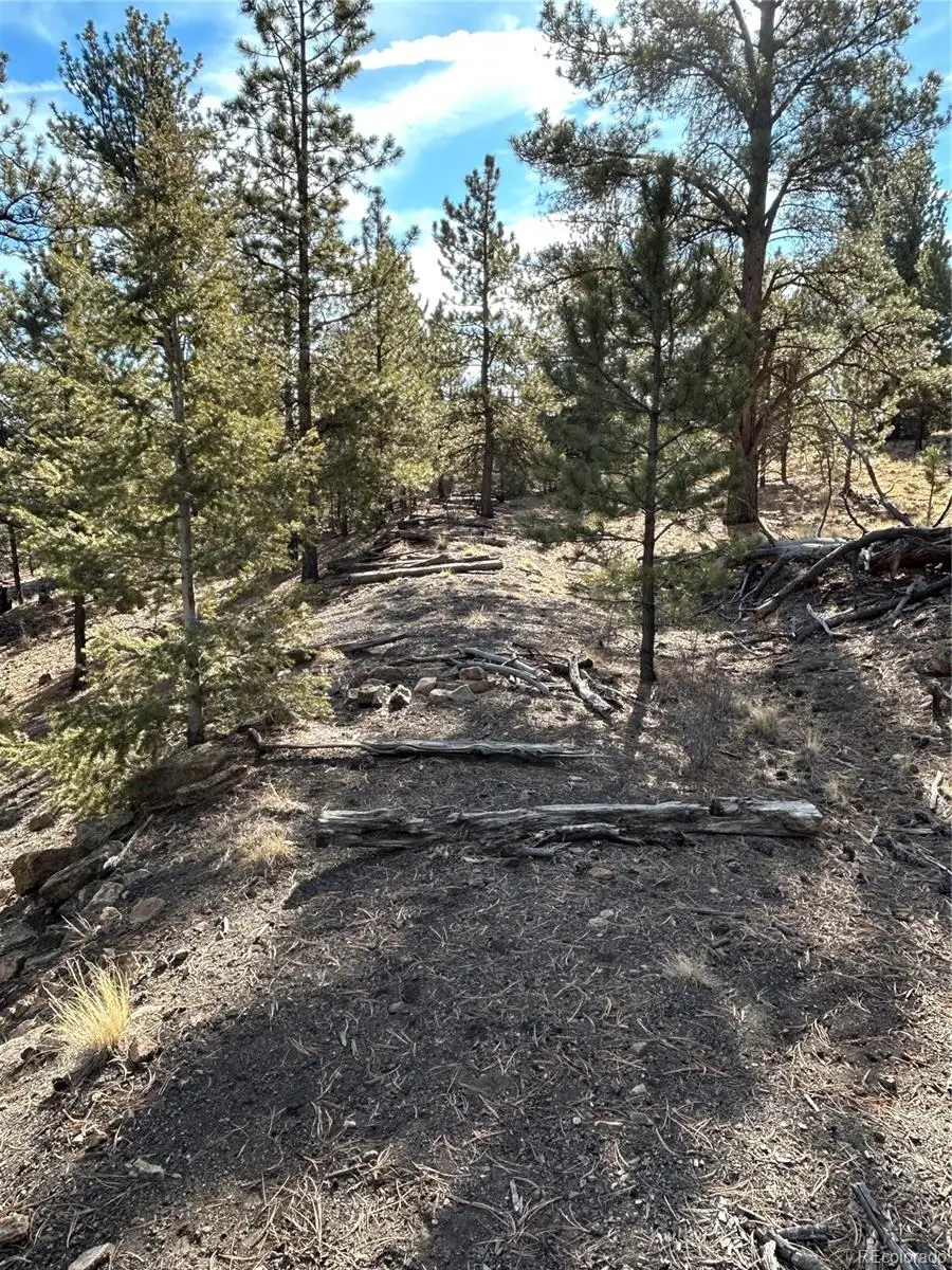 4376 Campfire Road, Hartsel, CO 80449 - #2