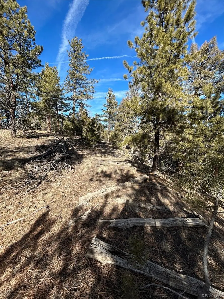 4376 Campfire Road, Hartsel, CO 80449 - #3