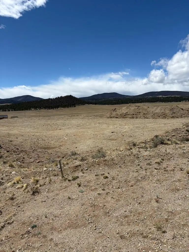 69 Buggy Court, Hartsel, CO 80449 - #2