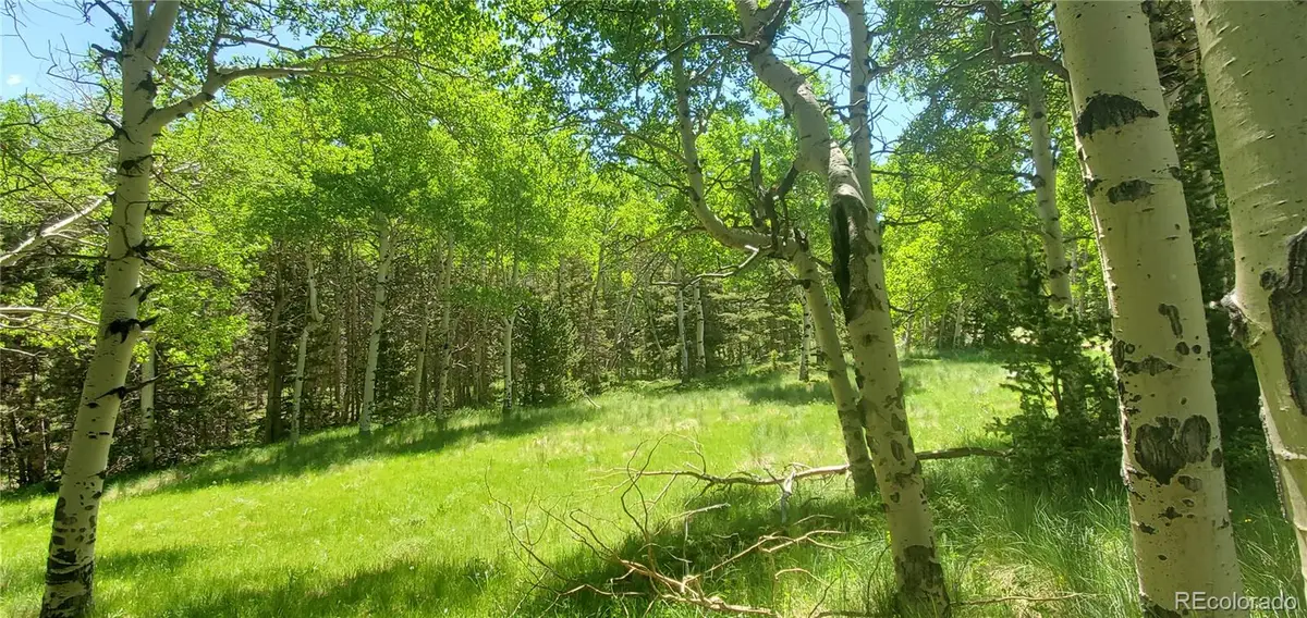 Lot 3085 Henderson Lane, Fort Garland, CO 81133 - Image #1