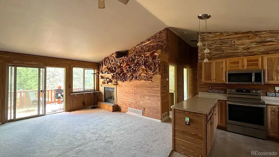 303 Virginia Road #E, Bailey, CO 80421 - Image #2