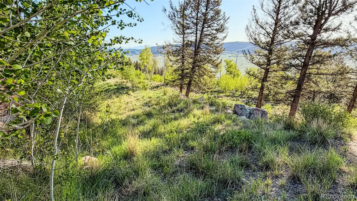 4924 Middle Fork Vista, Fairplay, CO 80440 - #1