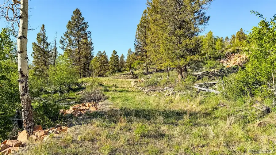 4924 Middle Fork Vista, Fairplay, CO 80440 - #2