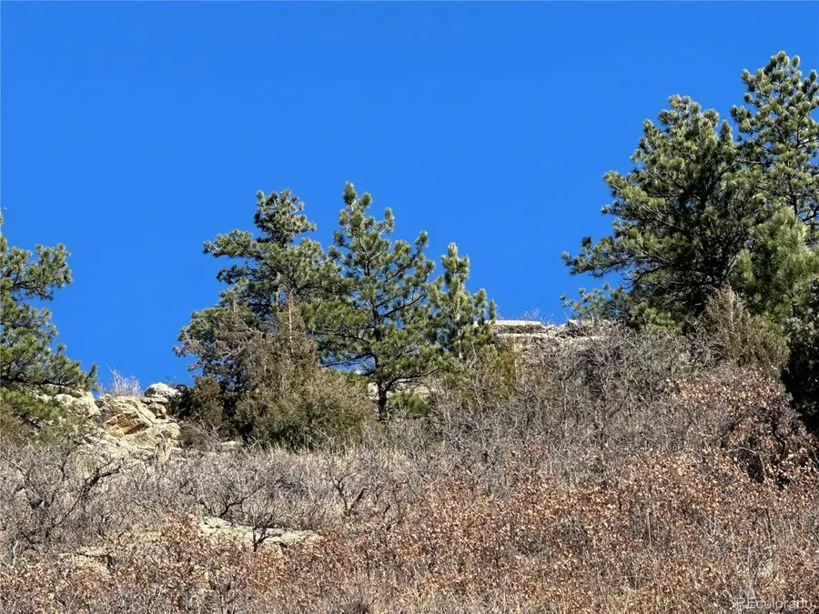 6668 Old Ranch Trail, Littleton, CO 80125 - #2