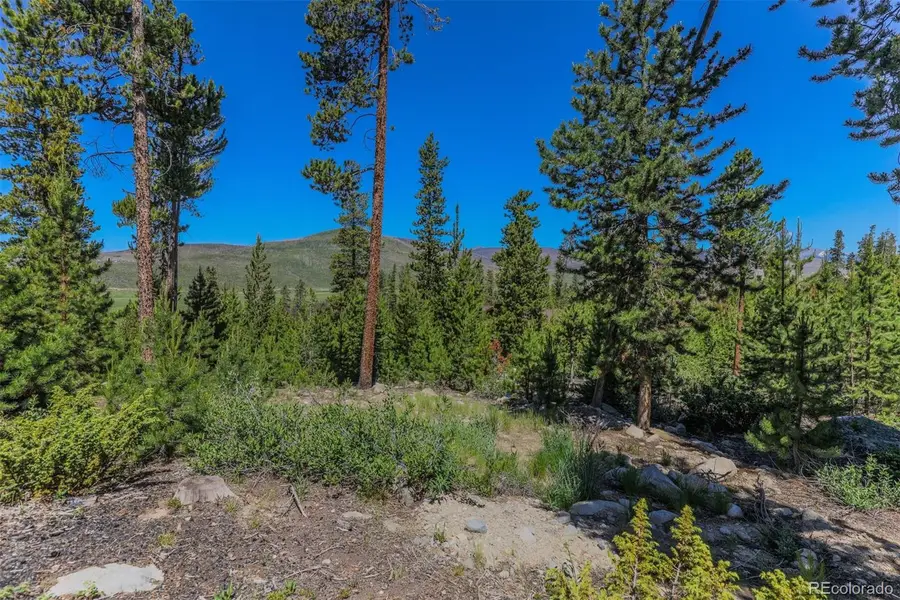 493 County Road 4632, Grand Lake, CO 80447 - #3