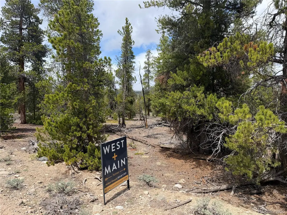 341 Lodgepole Drive, Leadville, CO 80461 - #1