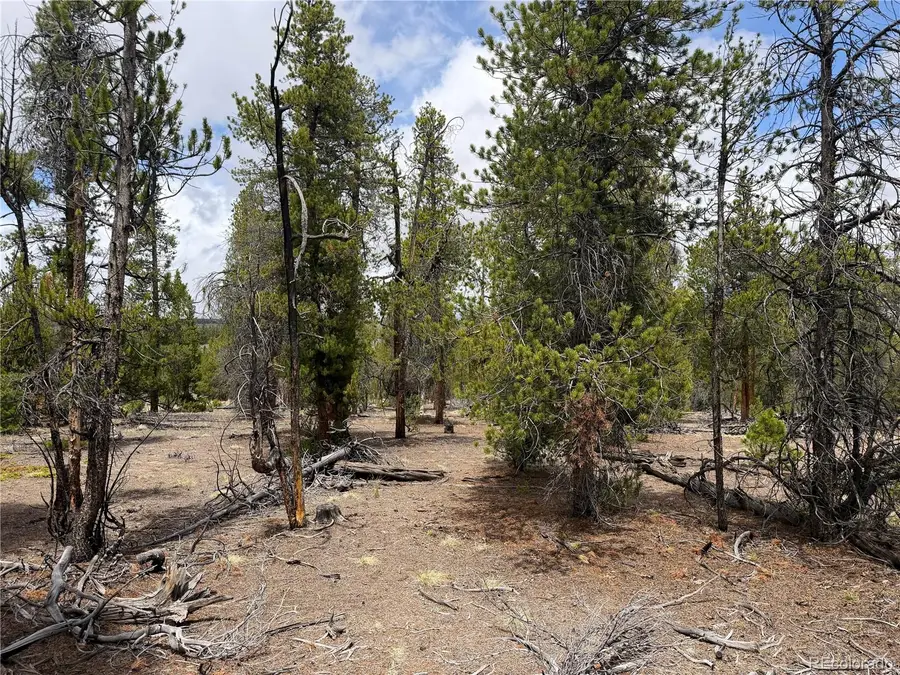 341 Lodgepole Drive, Leadville, CO 80461 - #2