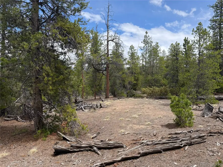 341 Lodgepole Drive, Leadville, CO 80461 - #3