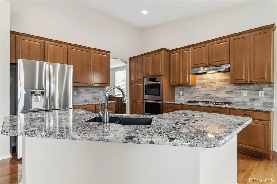 16594 E Black Horn Drive, Parker, CO 80134 - #3