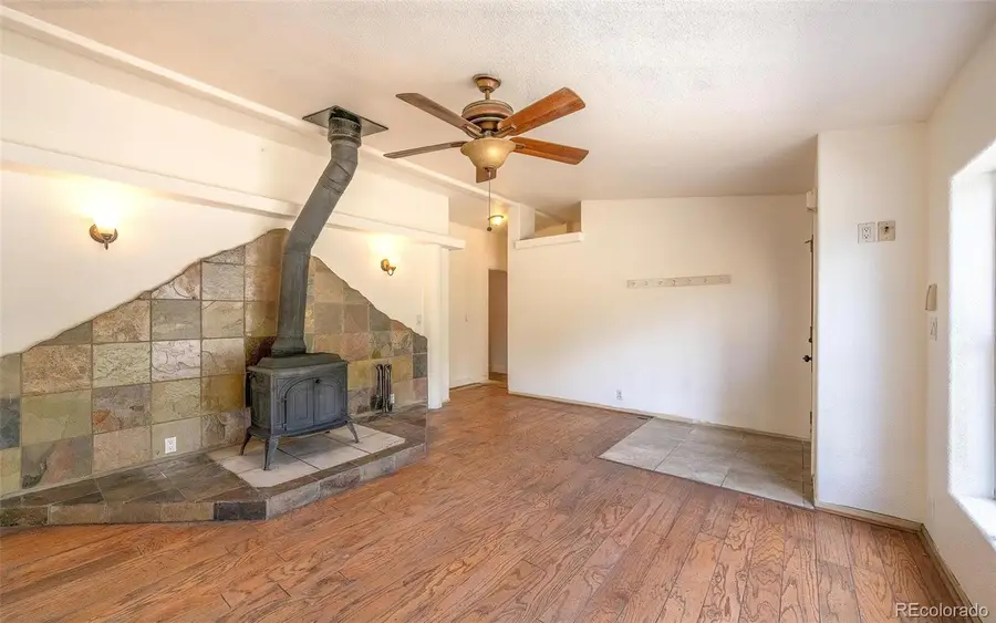 865 Silver Creek Road, Idaho Springs, CO 80452 - #3