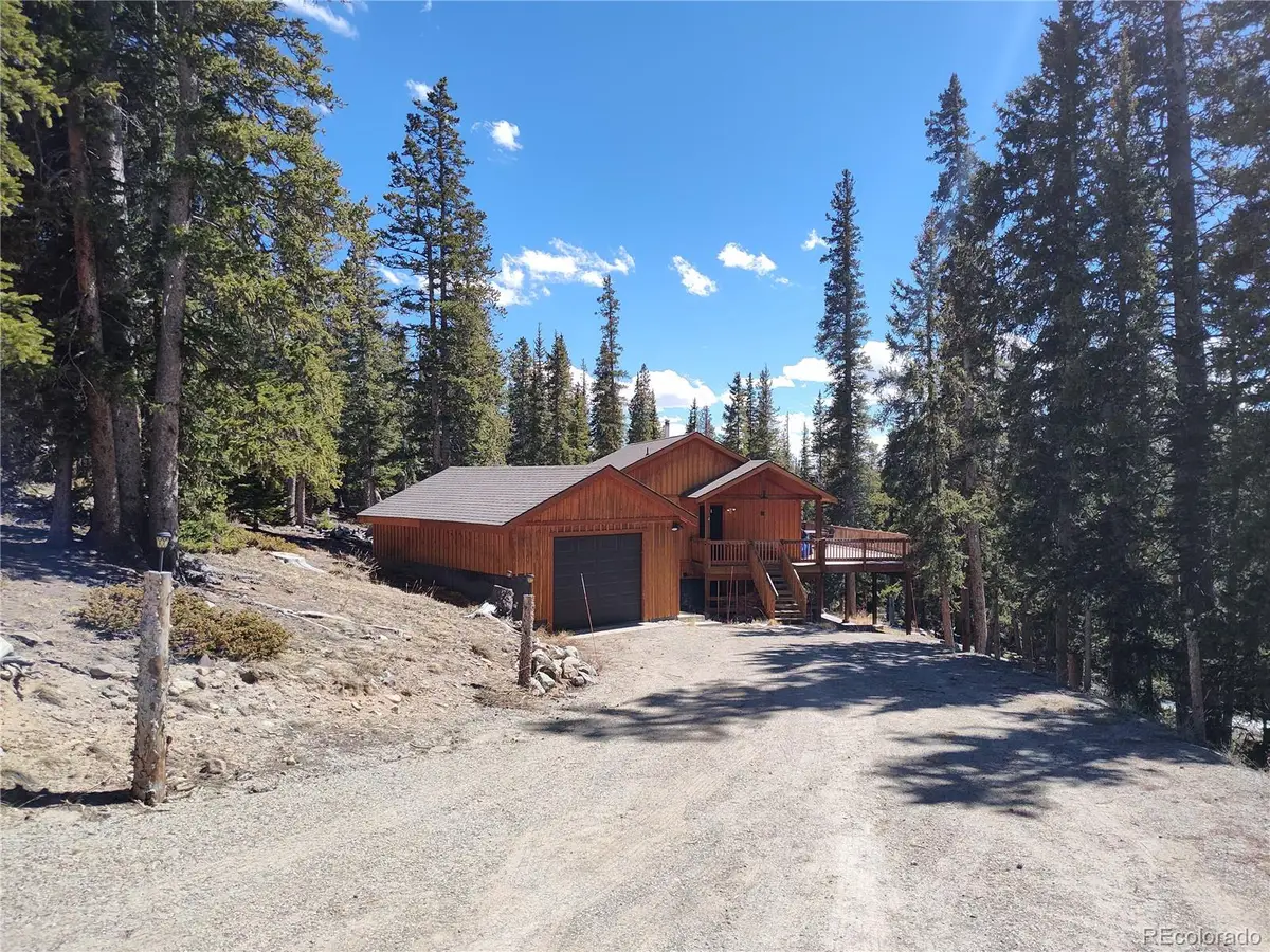 226 Pine Cone Way, Fairplay, CO 80440 - #1