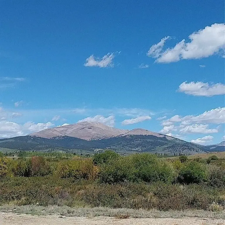 Meadow Drive, Fairplay, CO 80440 - #2