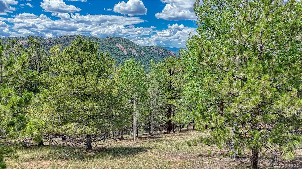 24 Wild Horse Circle, Cripple Creek, CO 80813 - Image #1
