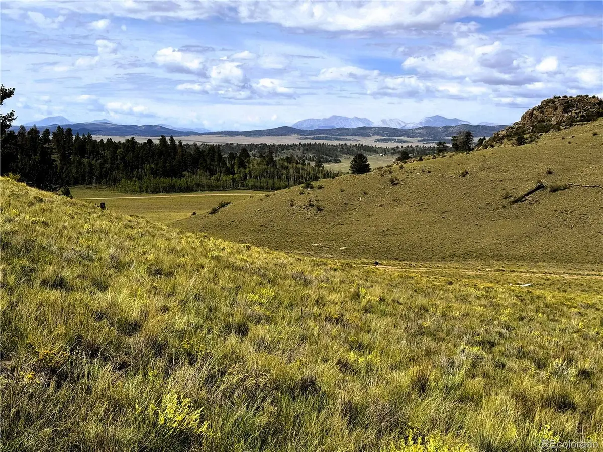 8390 Chickasaw Road, Hartsel, CO 80449 - #1