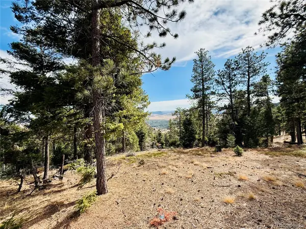 13948 Boulder Lane, Larkspur, CO 80118