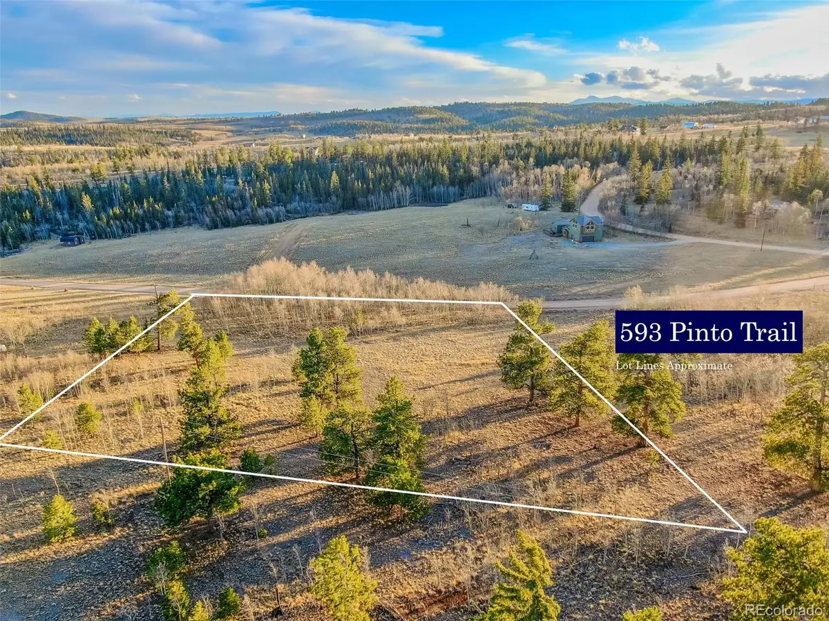 593 Pinto Trail, Como, CO 80432 - #1