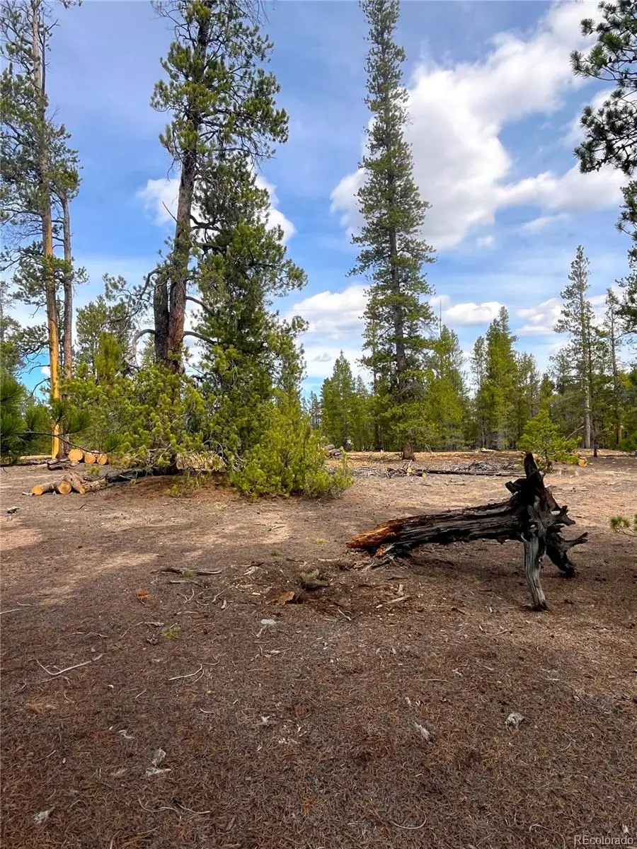 105 Fir Drive, Leadville, CO 80461 - #2