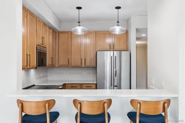 1699 N Downing Street #309, Denver, CO 80218