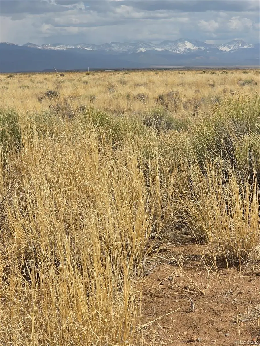 Lot 17 E Denver Rd., Blanca, CO 81123 - #1