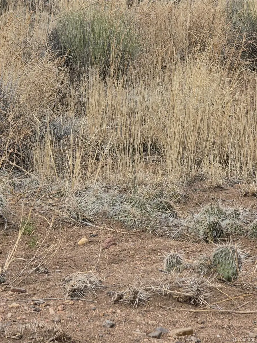 Lot 17 E Denver Rd., Blanca, CO 81123 - #2