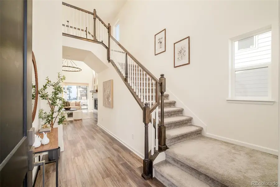 98 Simmental Loop, Castle Rock, CO 80104 - #3