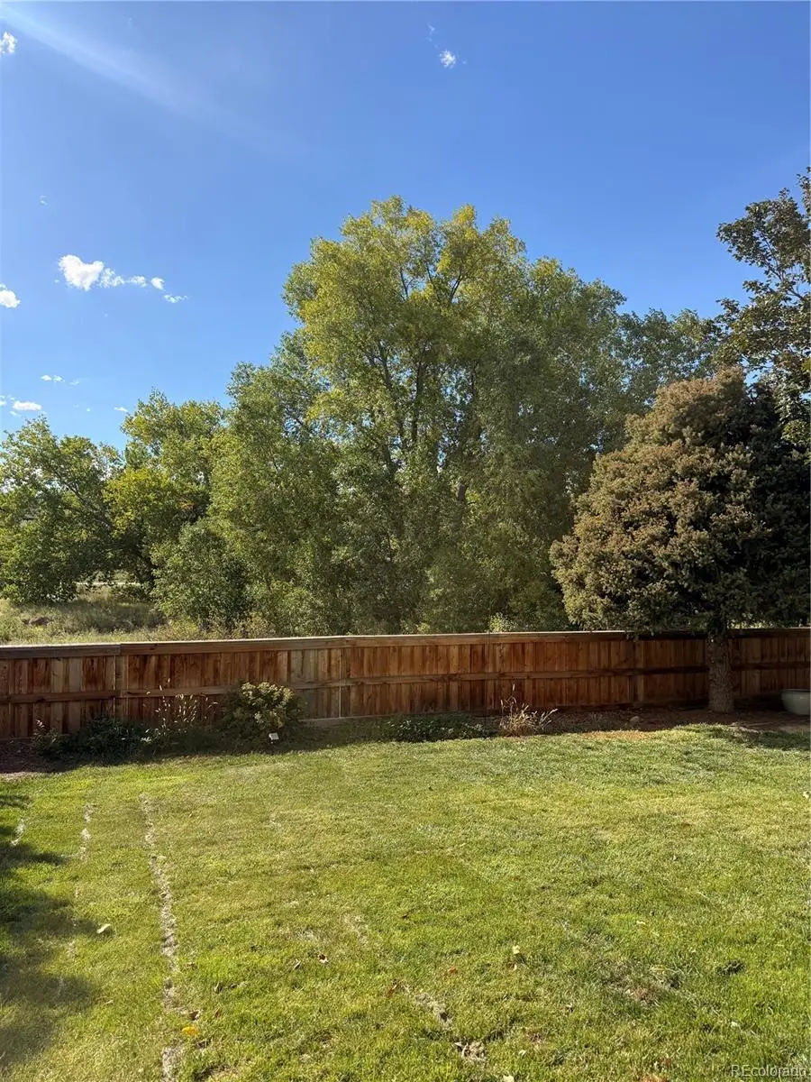 15862 Crestrock Circle, Parker, CO 80134 - #2