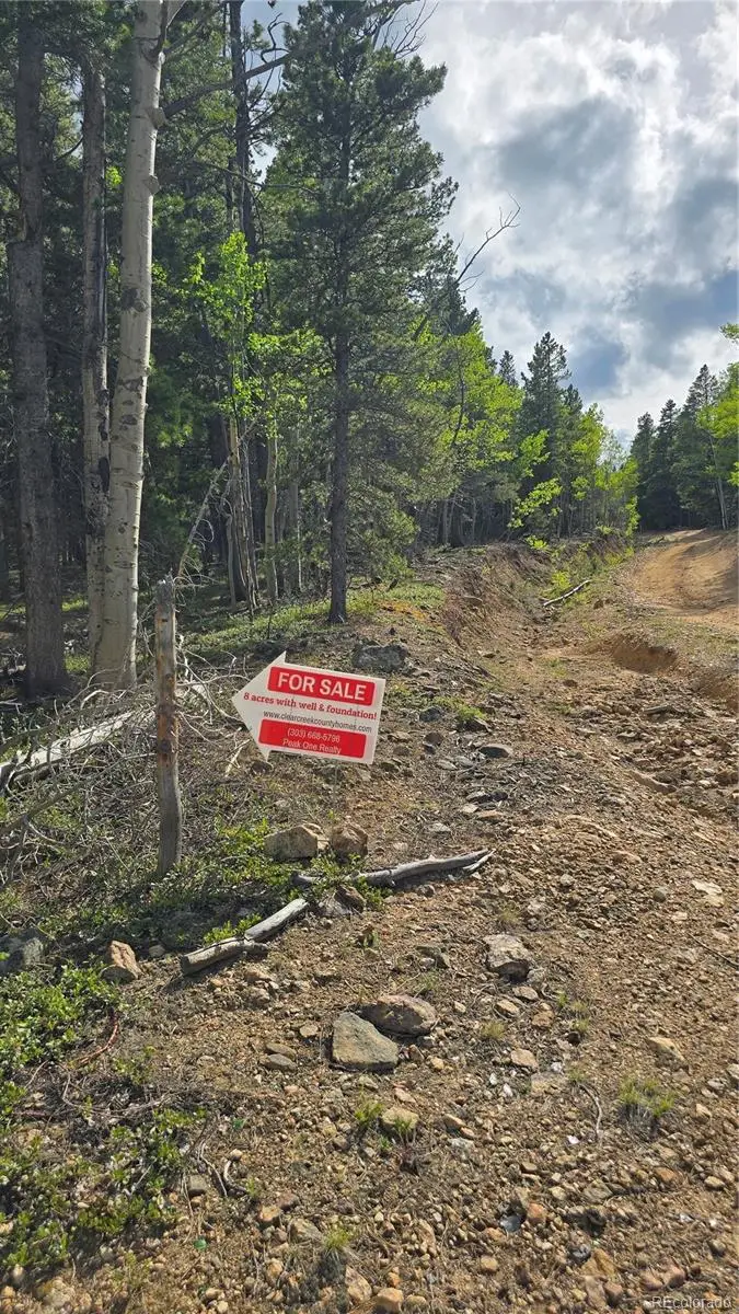 01 S Spring Gulch Road, Idaho Springs, CO 80452 - Image #3