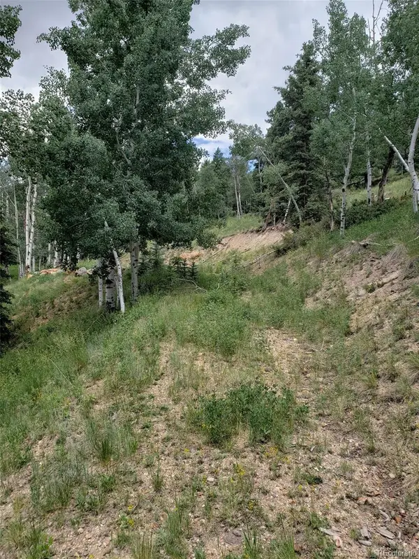 10th Street, Jasper, CO 81144