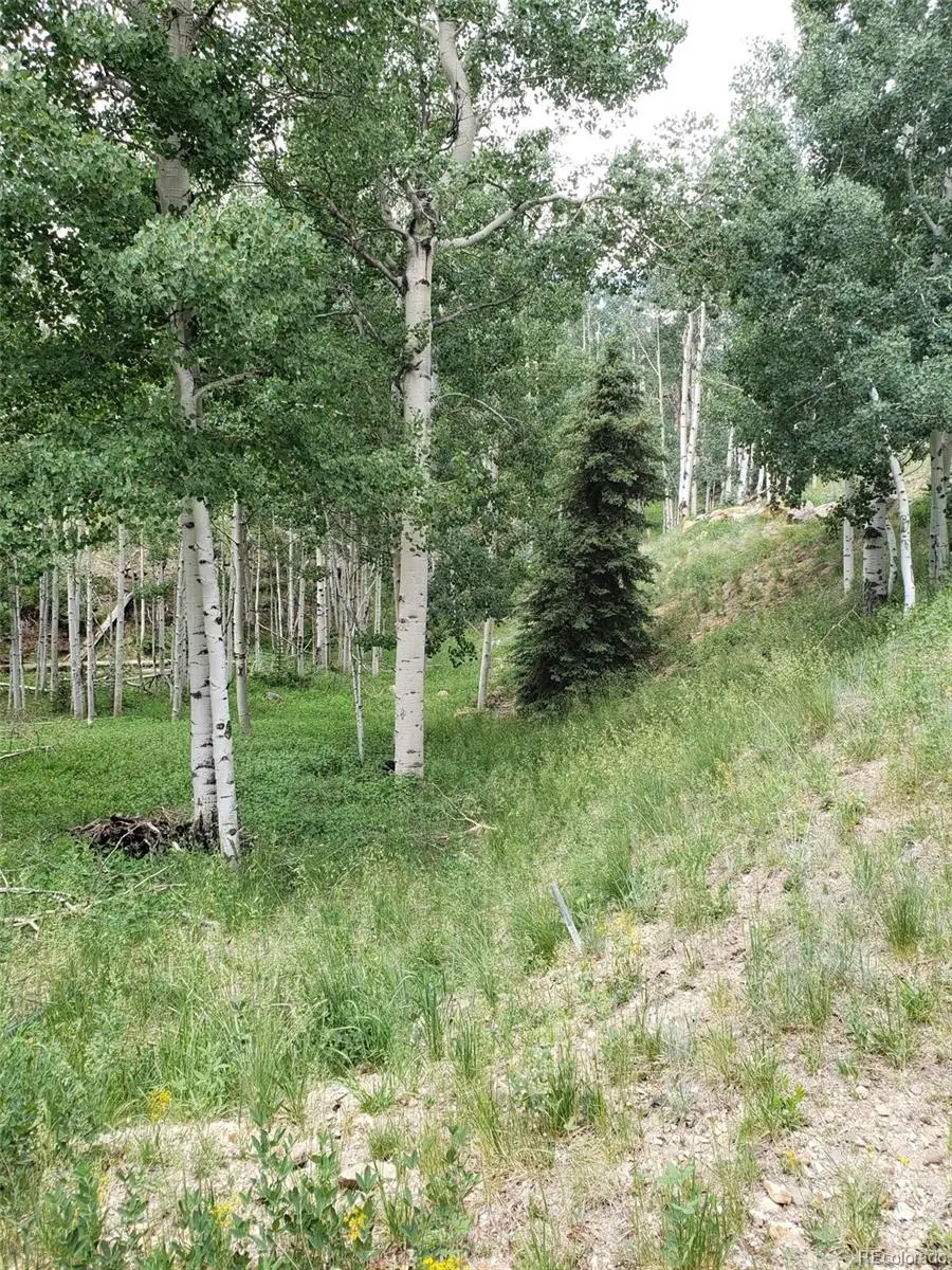 10th Street, Jasper, CO 81144 - #2